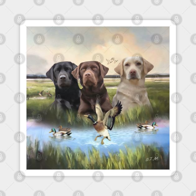 Labrador Retrievers, (Hunting dogs) Magnet by German Wirehaired Pointer 