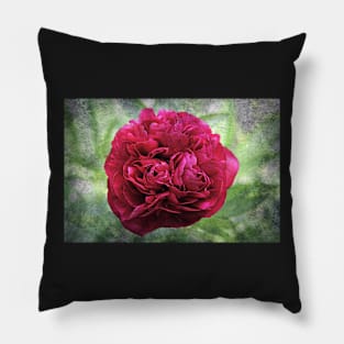 Textured Peony Pillow