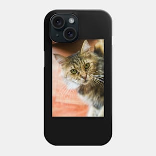 Look at those eyes cat Phone Case