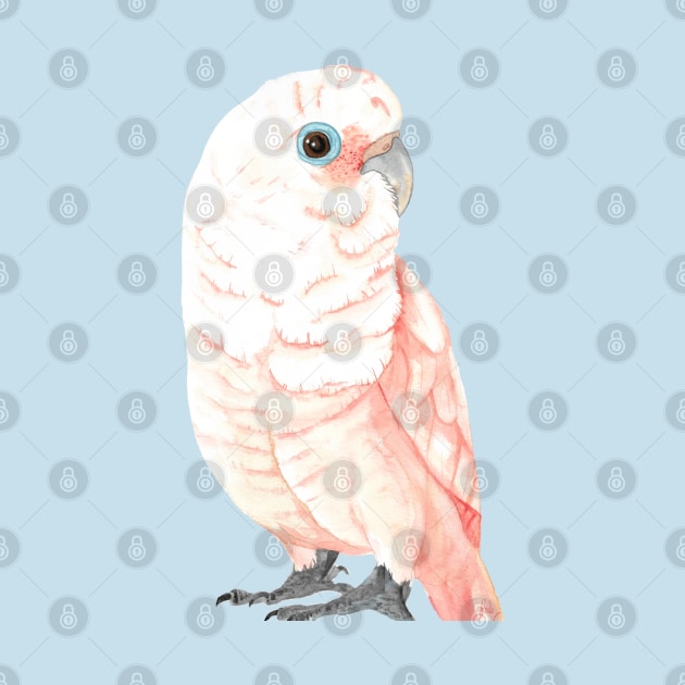 Goffin's cockatoo watercolor by Oranjade0122