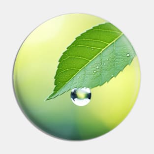 Leaf Water Drop Nature Serene Tranquil Pin