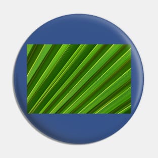 Green palm leaf close-up Pin