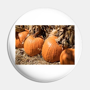 Picking Pumpkins Pin