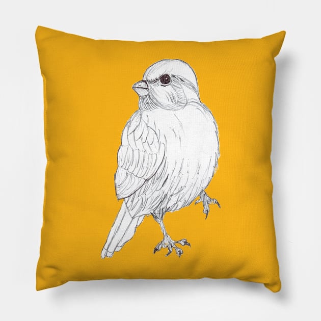 Bird Pillow by brookiev