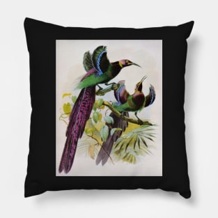 Woodland Birds-Available As Art Prints-Mugs,Cases,Duvets,T Shirts,Stickers,etc Pillow