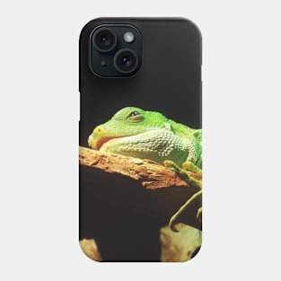 Iguana Take A Nap Phone Case