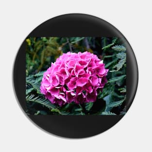 Deep Pink Summer Hydrangea Photo with Digital Effects Pin