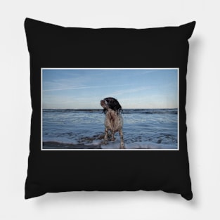 English Springer Spaniel Pillow