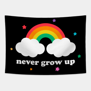 Vintage Never Grow Up Rainbow Funny Aesthetic Streetwear Tapestry