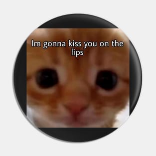 I'm gonna kiss you on the lips cat meme Pin