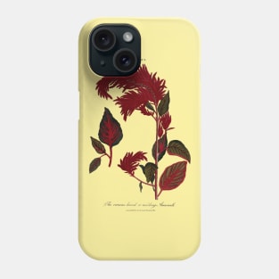 18th Century Amaranth Plant Illustration Phone Case