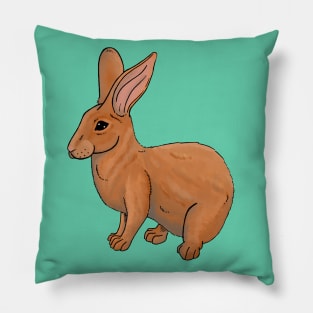 Bun Bun Pillow