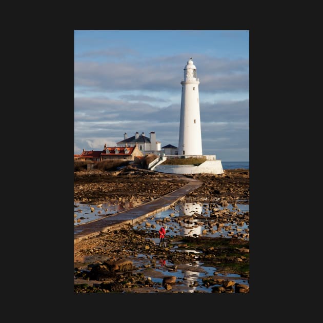 St Mary's Island reflection by Violaman