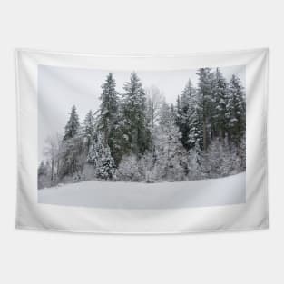 The Majestic Snow Covered Trees Tapestry