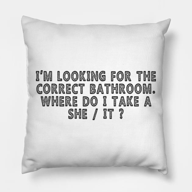 I’m Looking For The Correct Bathroom Where Do I Take A she it Pillow by Wintrly