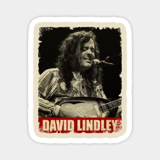 David Lindley - NEW RETRO STYLE Magnet