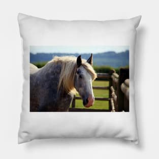 Redwings Major Pillow