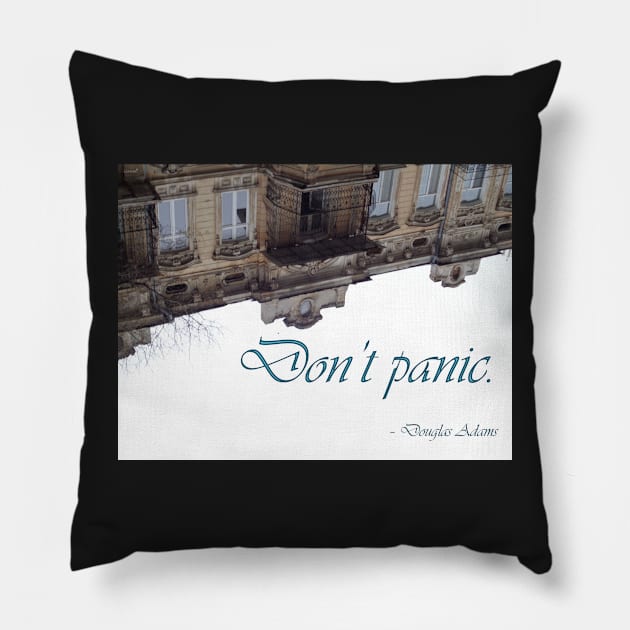 Don't panic Pillow by Lizuza