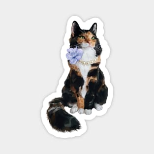 Glamorous Longhair Calico Cat with Pearls Magnet