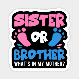 Sister Or Brother What'S In My Mother Gender Baby Reveal Magnet