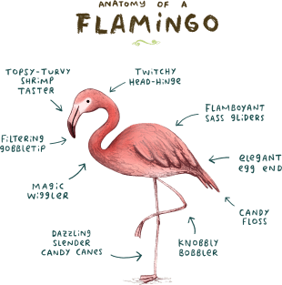 Anatomy of a Flamingo Magnet