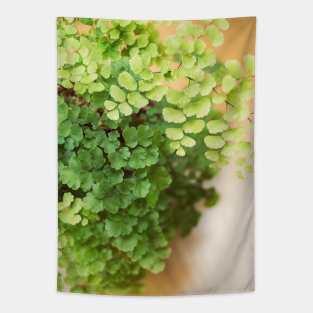 Maidenhair Queen Tapestry