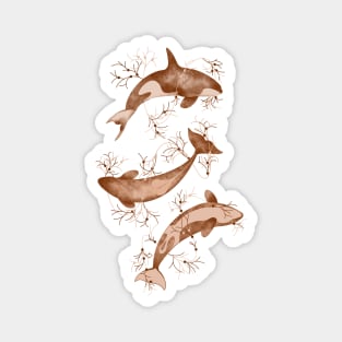 Dancing Orcas | Brown and White Color Palette Magnet