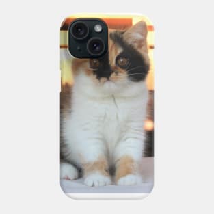 love cute cats Phone Case