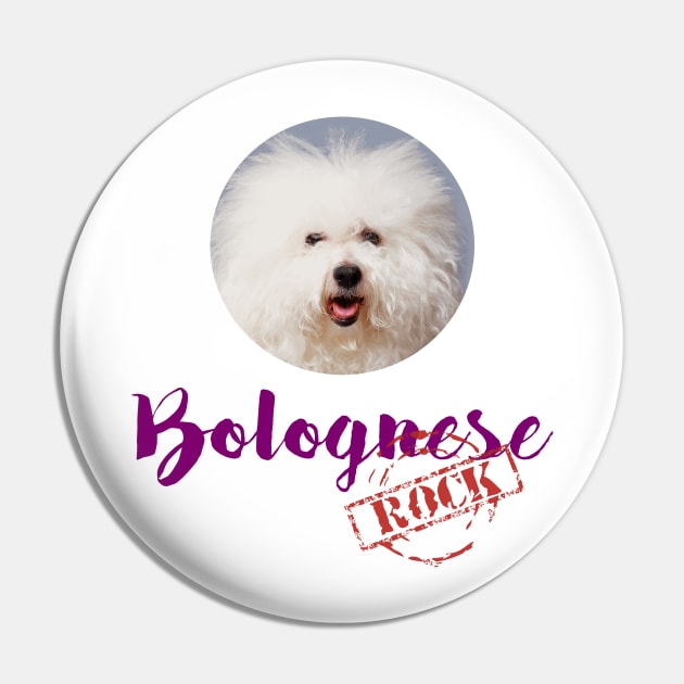 Bolognese Rock! Pin by Naves