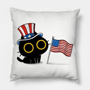 Americat Pillow