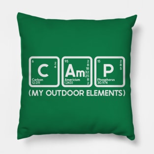 Chem Camp Pillow