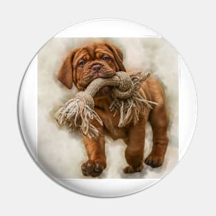 Bordeaux mastiff puppy Pin
