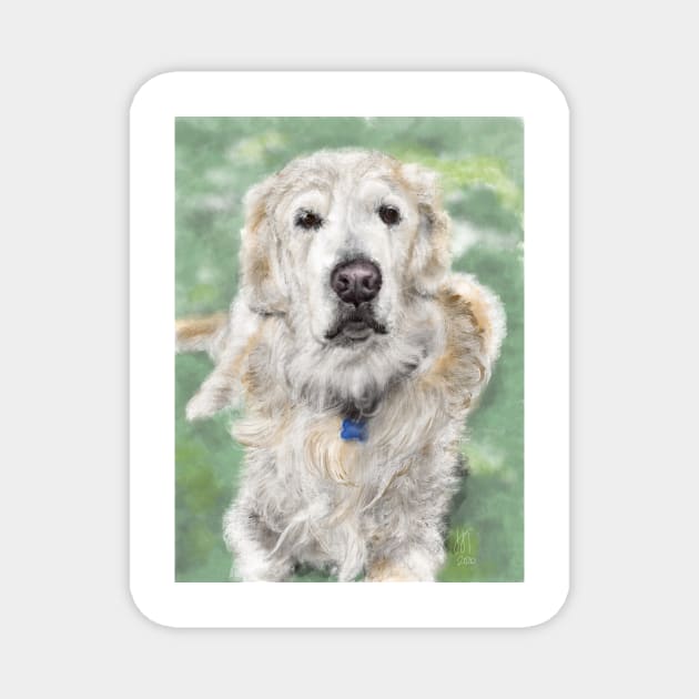 Golden Retriever Sitting on the Grass Magnet by LITDigitalArt