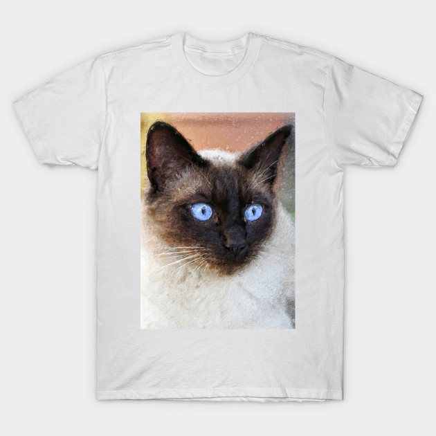 Siamese Cat Blue Eyes