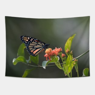 Monarch on Mexican Flame Tapestry