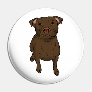 Brown Pitbull, Sitting Pittie Pin