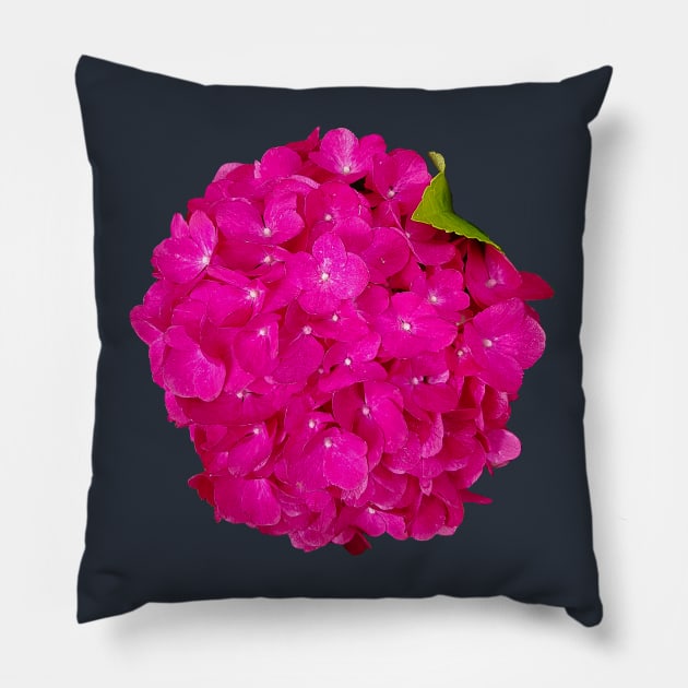 Pink Hydrangea Floral Photo Cutout Pillow by ellenhenryart