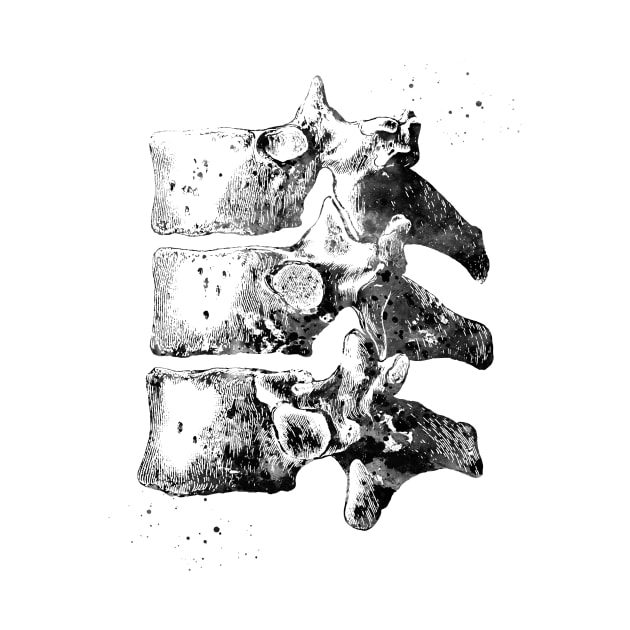 Thoracic vertebrae by erzebeth