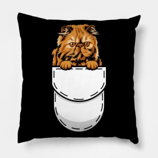 Funny Pocket Cat Persian Pillow