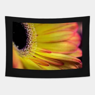 Ray of sunshine Tapestry