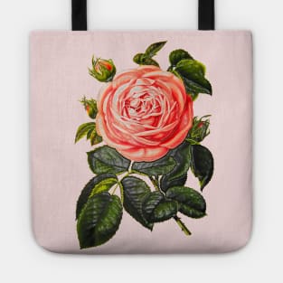 rosebud with green leaves Tote