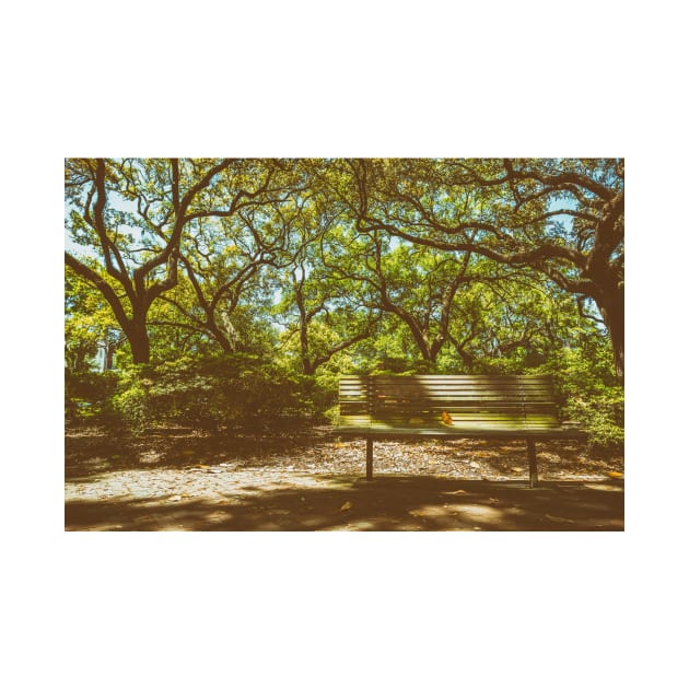 Pulaski Square Bench Savannah by Gestalt Imagery