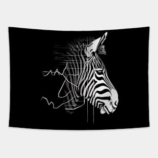 Zebra Eco-tourism Impact Tapestry