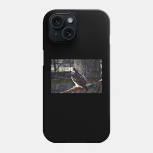 Hawk Phone Case