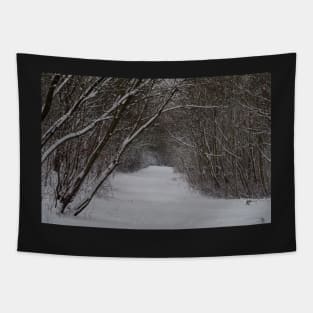 snow uk 2018 tree tunnel beast from the east Tapestry