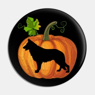 German shepherd in pumpkin Pin