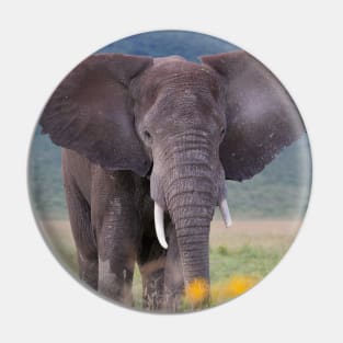 African Bush Elephant Pin