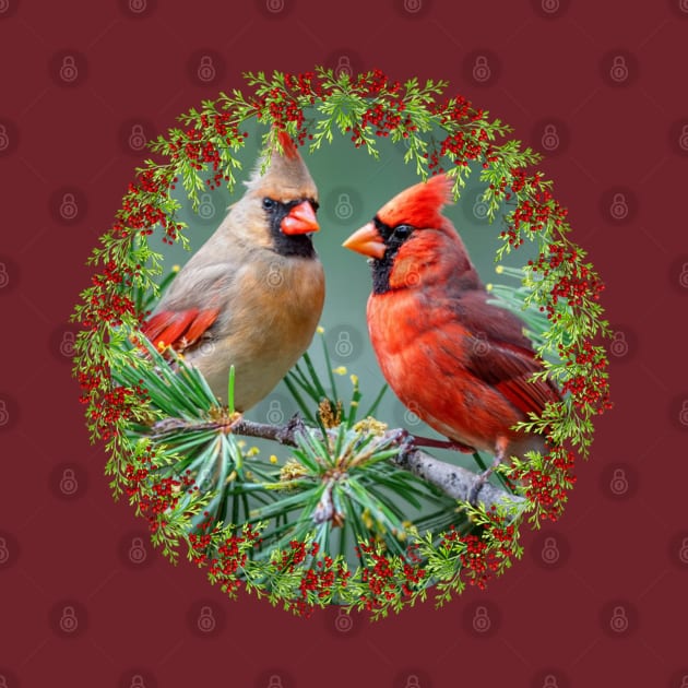 Red Cardinals Holly Berries & Pine Christmas by tamdevo1