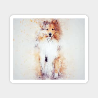 Watercolor Sheltie Magnet