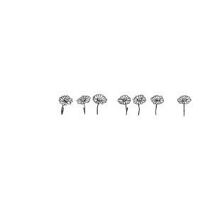 Dainty Daisy Minimalist Line Drawing T-Shirt